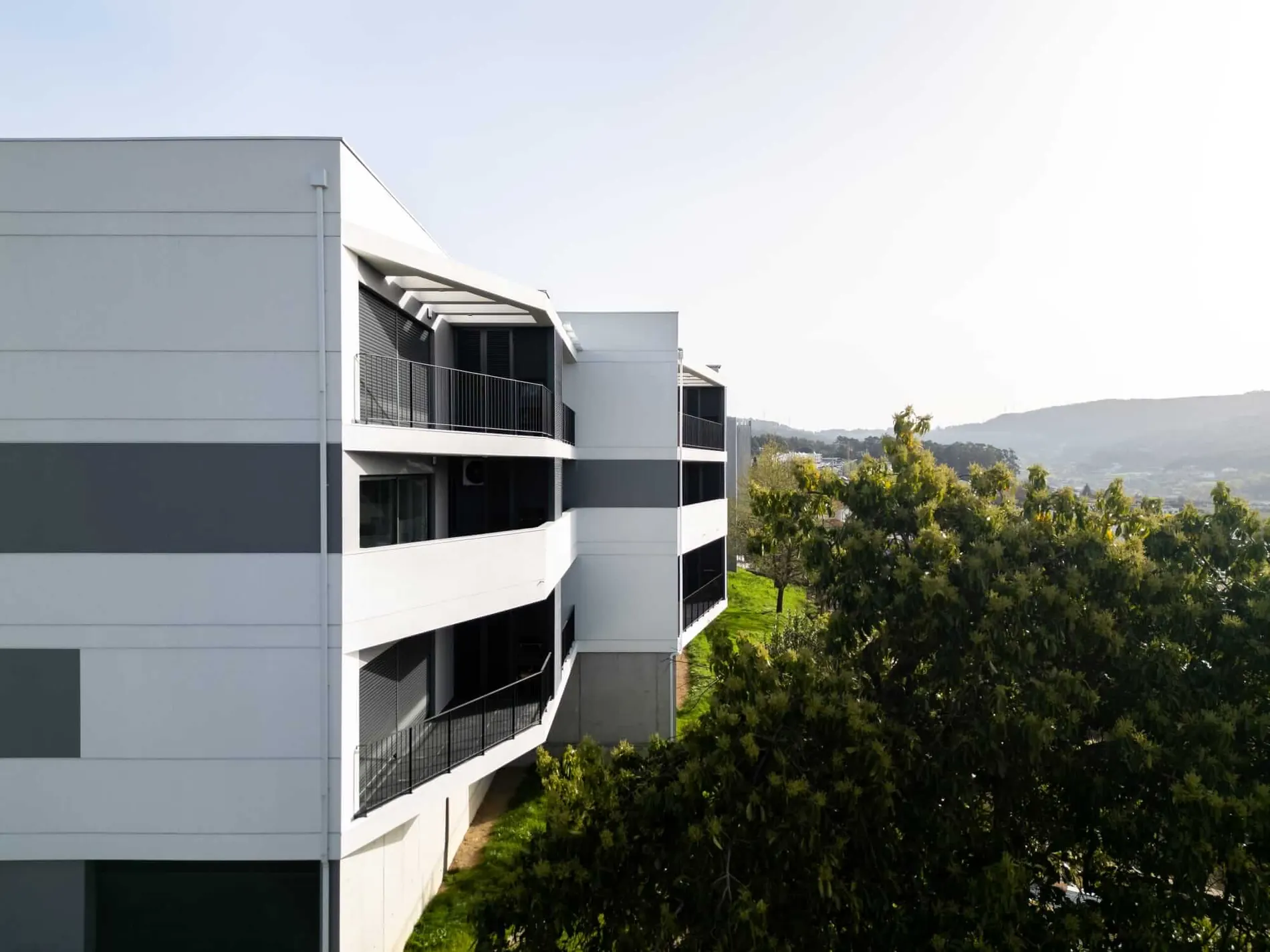 Gualtar I — imagem 3